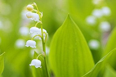 新游添加愿望单！蒸汽平台鉴赏家大会定档9月24日